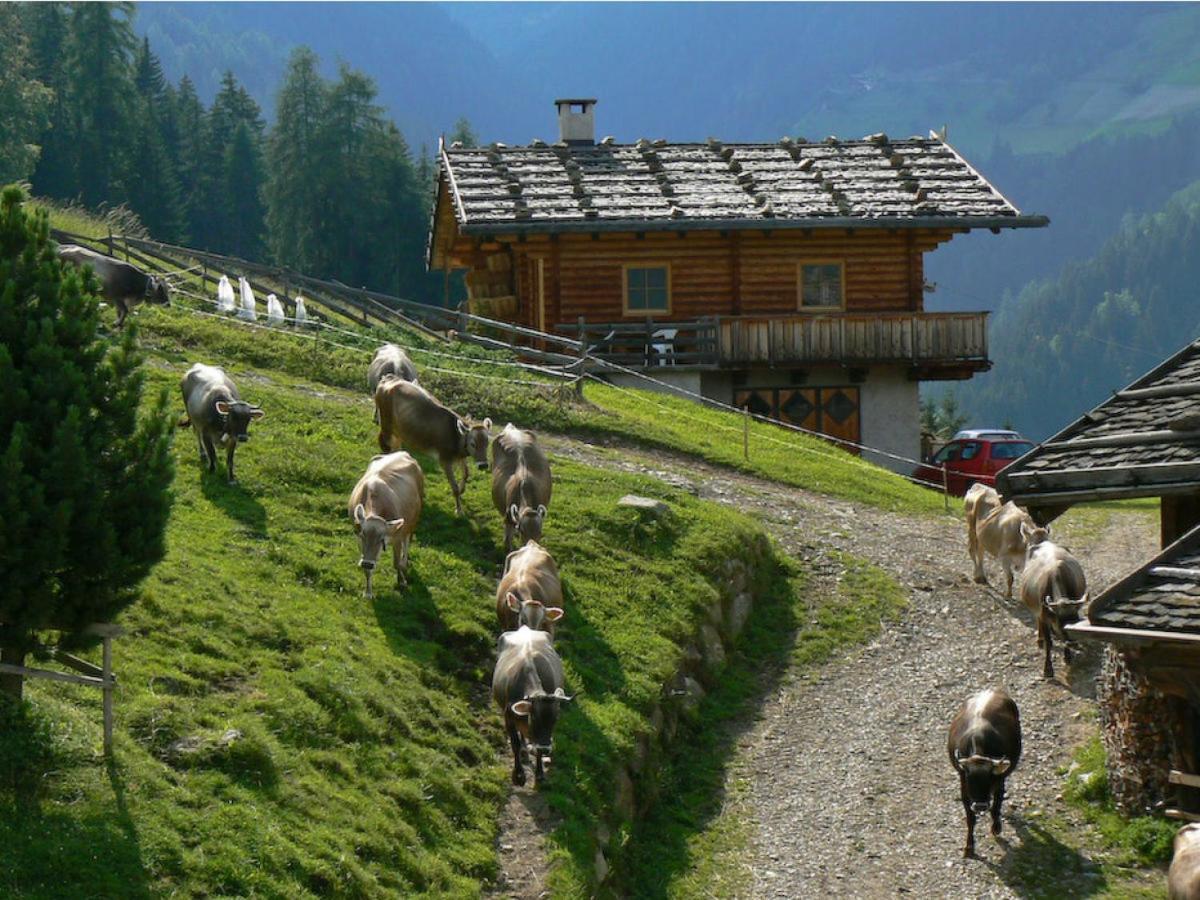 Ferienwohnung Maiernhof Bauernhof Ultental Sankt Pankraz Exteriör bild